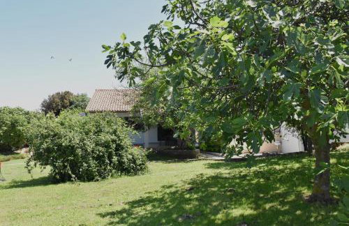 Vacation home Pula - Foto 7