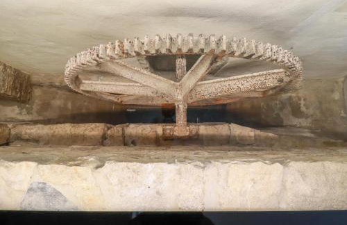 The Old Watermill - Foto 18