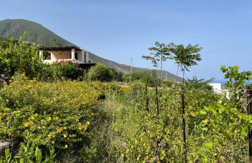 Villa Mimosa - Foto 35