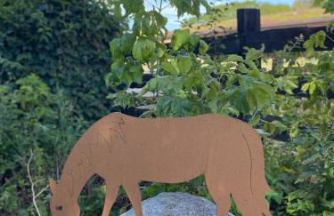 Ferienwohnung auf Pferdehof - Foto 40