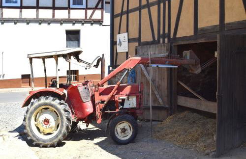 Charmante Wohnung mit Eigener Terrasse - Foto 72