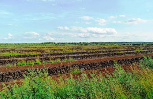 Ferienwohnung Uchte - Photo 43