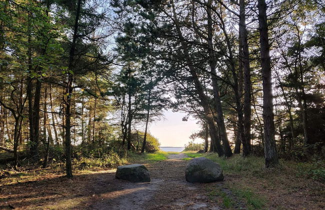 3 Person Holiday Home in Esbjerg V-by Traum - Photo 49