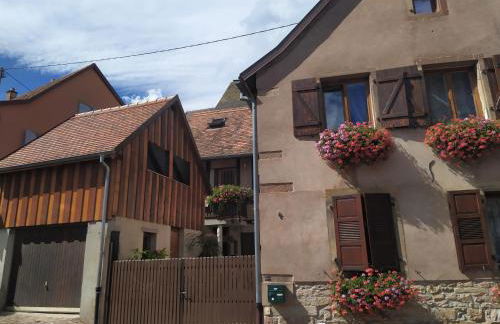 Appartments Rue Des Châteaux - Photo 2