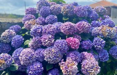 Mar y Montaña - "El Caleyo" - finca privada - Foto 12