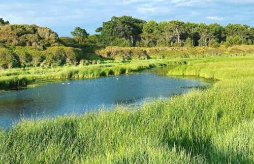 Charmant Penty Breton, entre terre et mer, Tregunc - Foto 25