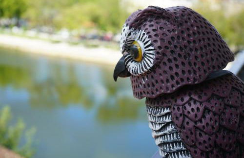 Casa Guardião - Foto 53