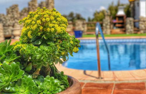 JARANDALUS (casa con atractivo y encanto) - Foto 31