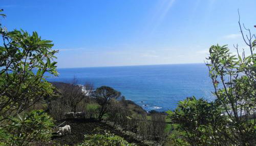 A casa do Tí Mendonça - Foto 3