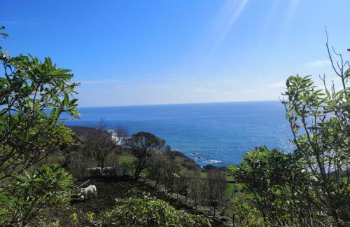 A casa do Tí Mendonça - Foto 3