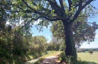 La Maison perchée - Mas de Rousseau - Foto 17