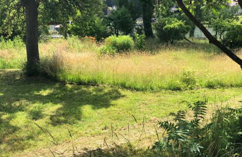 Ferienwohnung mit Wasserzugang - Foto 10