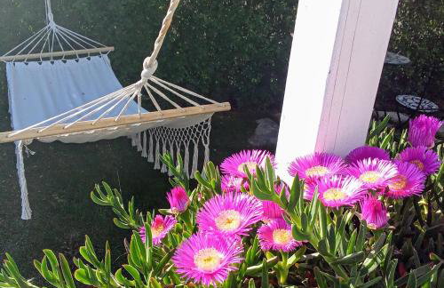 LUXURY VILLA ŠENTADA - Photo 25