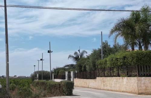 Birgi holiday home - Foto 37