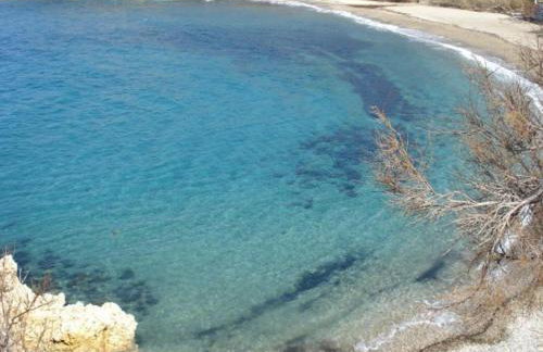 Blue Bliss - Foto 69