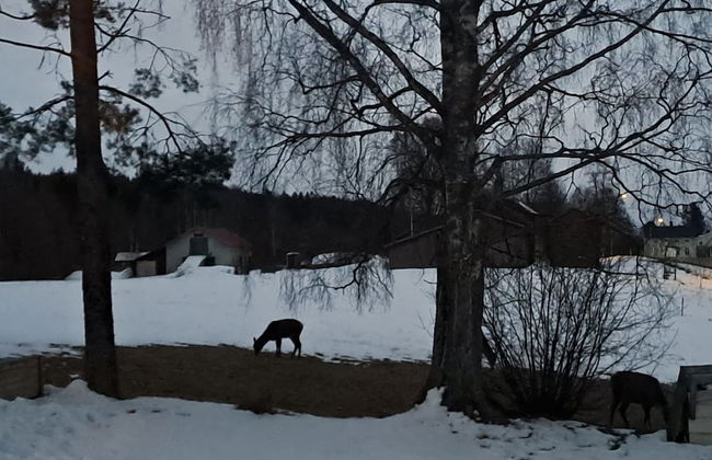 Forest Family Home - Foto 70