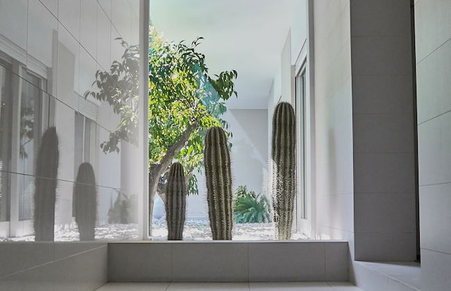 Soglow Business Class Aparthotel - Foto 25