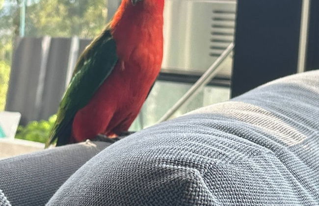 Belvedere Summer House - Foto 32