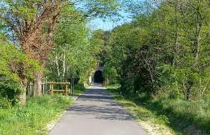 Villa en Provence piscine au calme entre Arles Nîmes Avignon - Foto 33