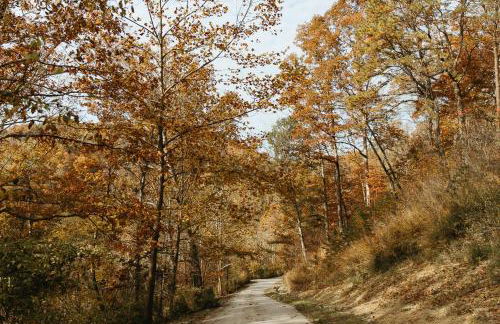 "Rocky Top" - Cozy RRG Cabin off Slade Exit! - Foto 11