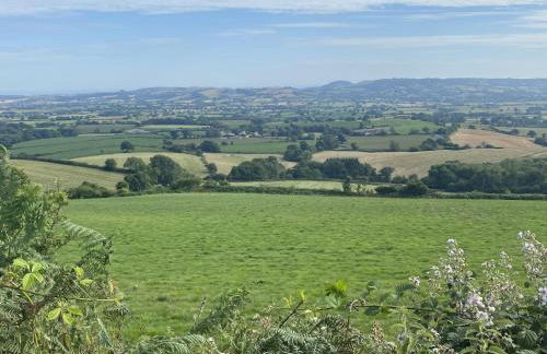 The Billy Shed - Photo 24