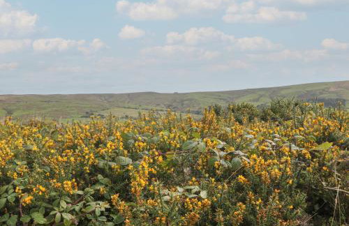 Stoney Cliffe Farm - Photo 43