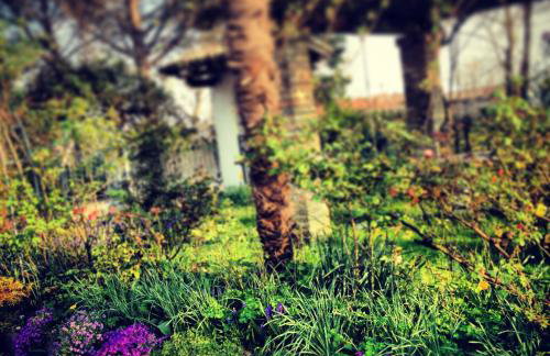 All'Antica Scuderia Del Castello - Foto 36