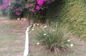 Chácara em Guararema Brasil - Foto 14