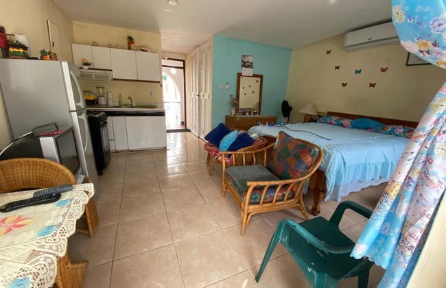 Beautiful 1-bed Beach Side Studio in Montego Bay - Foto 10
