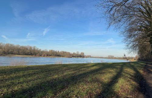 Ferienhaus Hoffmann am Rheinbogen - Foto 33