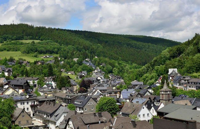 Lovely Apartment with Balcony in Willingen near Ski Lift - Photo 38