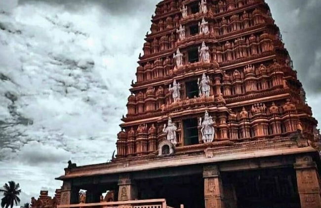 Royal Tusker Luxury Service Apartments - Foto 55