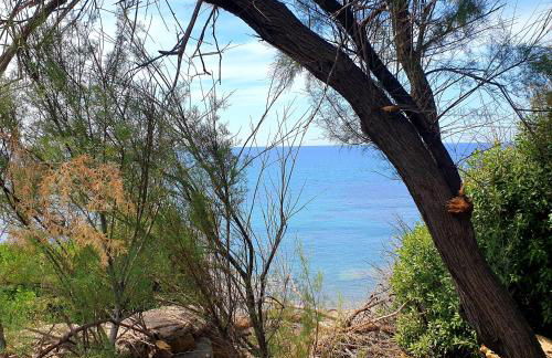 Villa Santina - Cefalù - Foto 21