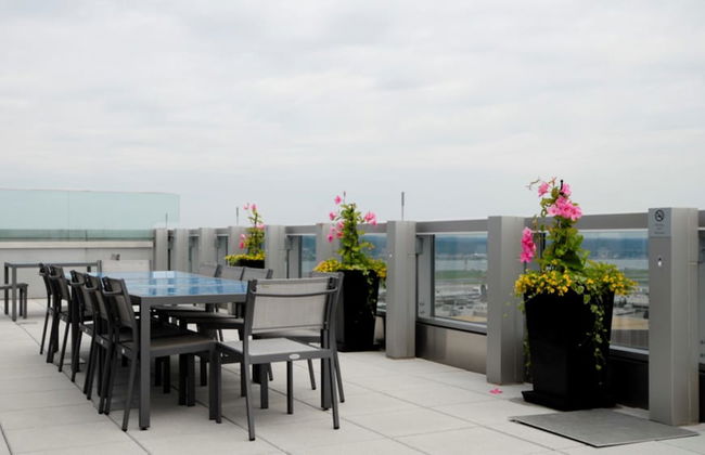 Bluebird Suites near National Airport - Foto 41