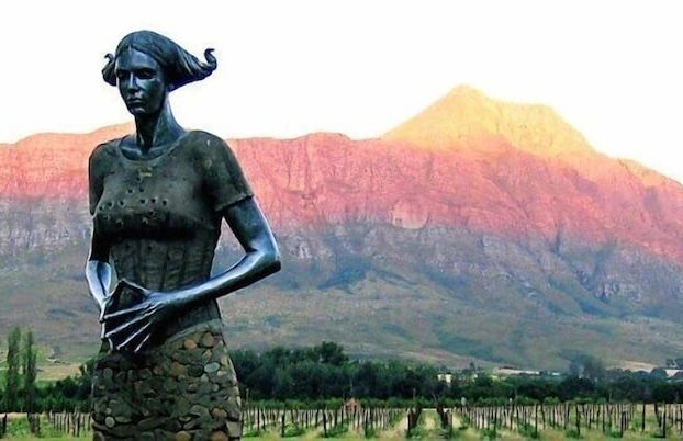 Fraaigelegen Farm - Photo 33