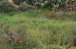 CA.MARCELA. 200 metros del mar. - Foto 29