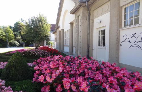 Ruhe - Oase am Eichwald - Photo 28