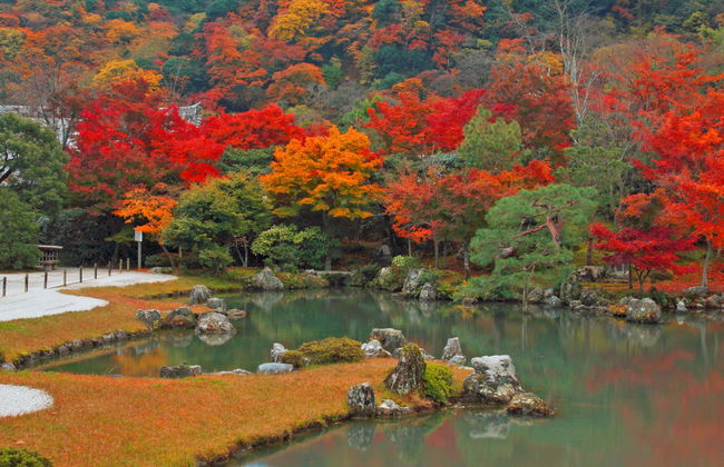 Tour completo por Kyoto com ingressos - Foto 1
