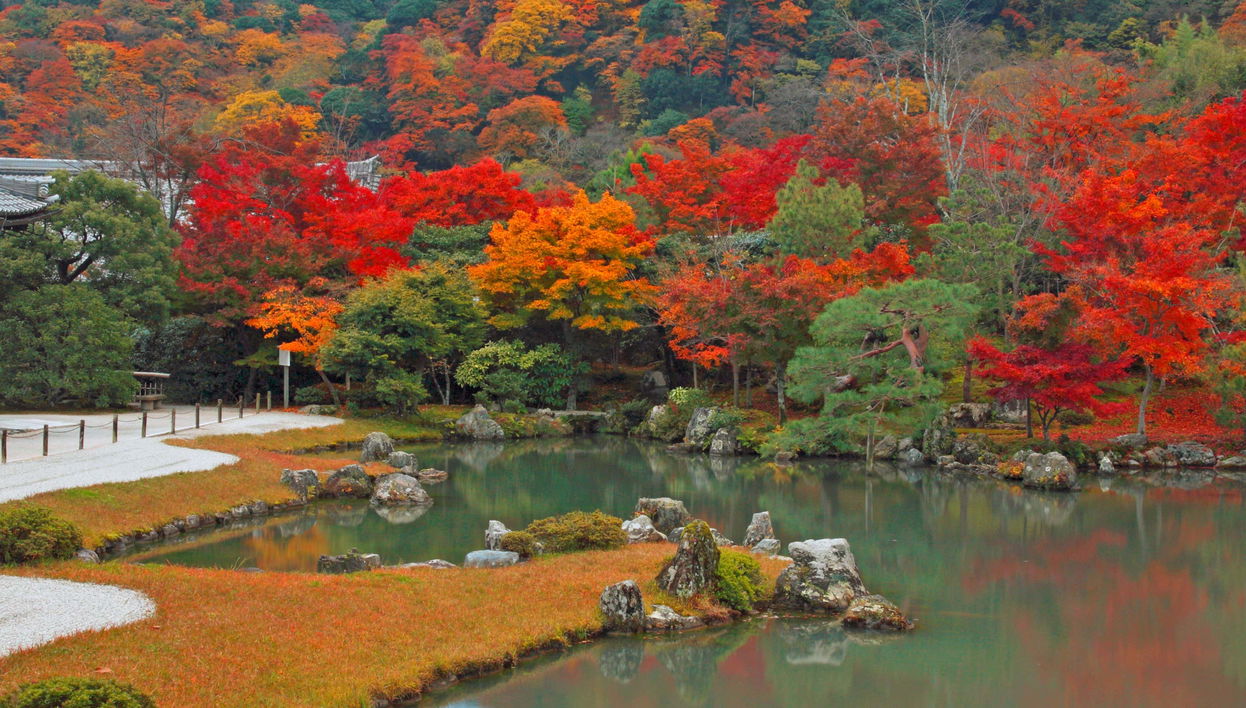 Tour completo por Kyoto com ingressos