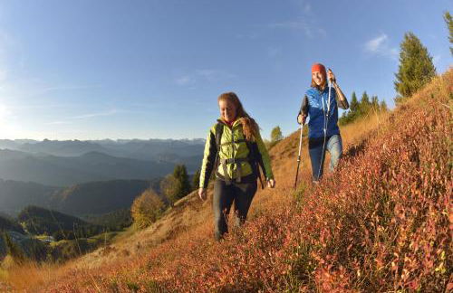 Wohnung Hochalm - Foto 10