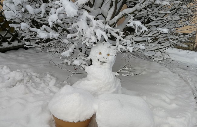 Fewo Baumann - Foto 36