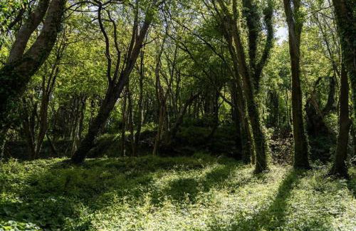 Watcombe Hideaway Romantic Coastal Retreat - Foto 35