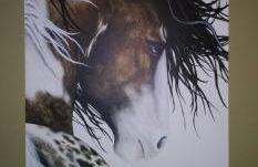 Mountain View Lodging Cody - Foto 8