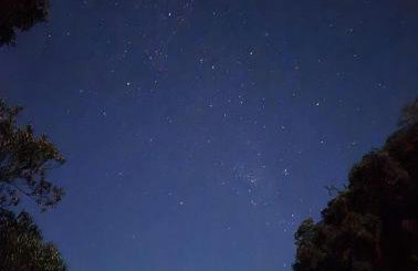 Chalé com Vista para Vinhedo e Natureza - Foto 45