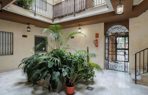 Don Fadrique Macarena - Foto 20