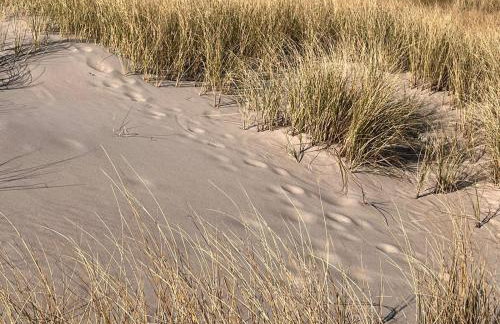 San Sebastian - domki nad morzem - Foto 5