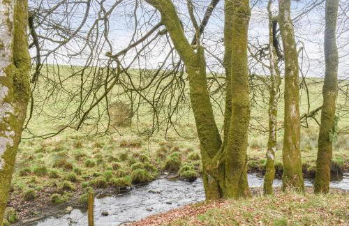 Chy An Dour - Foto 20