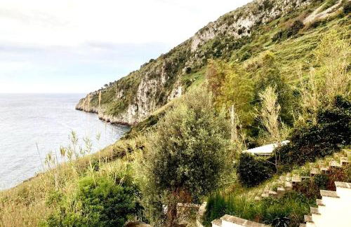 House overlooking the bay - Seaview - Foto 21