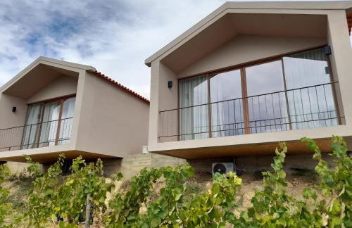 Quinta Manhas Douro - Foto 1