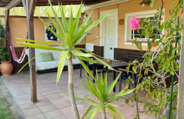 Kitecamp Tarifa - Photo 64